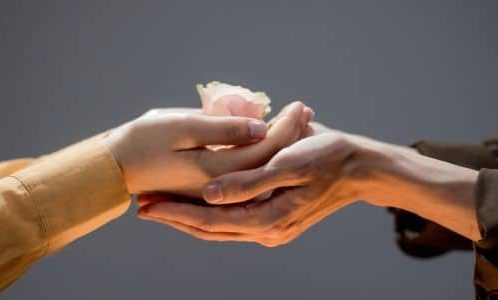 Female hands holding another female's hands holding a flower.